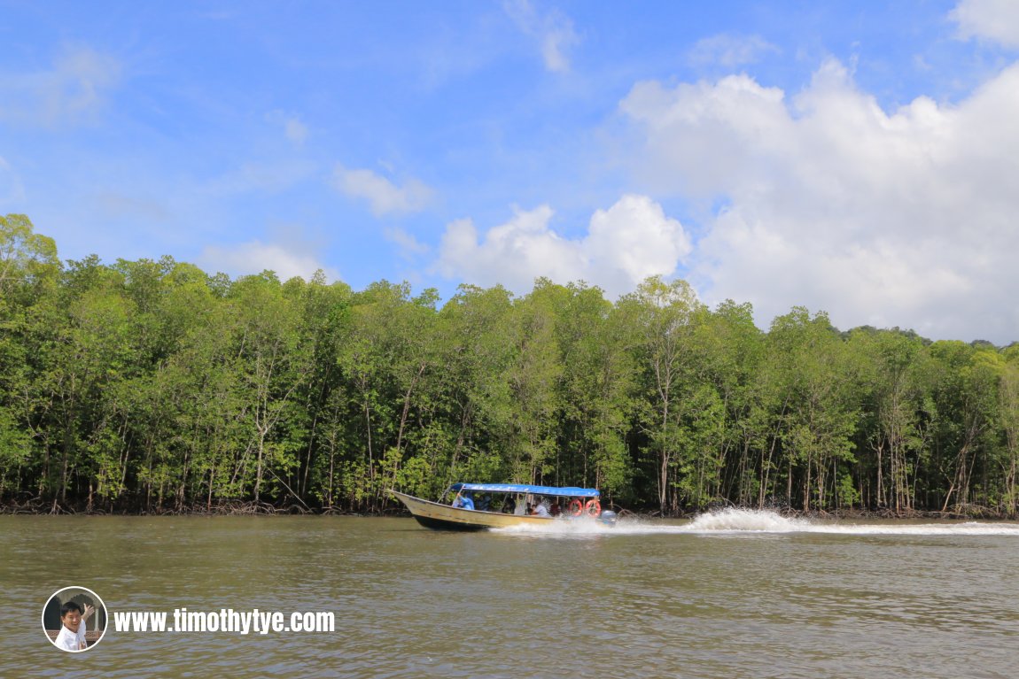 Taking a walk on the sandbar at Kilim Geoforest Park