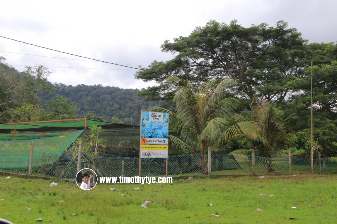 Langkawi Orchid Farm