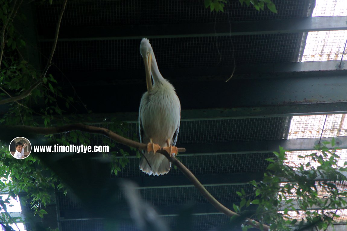 Langkawi Wildlife Park