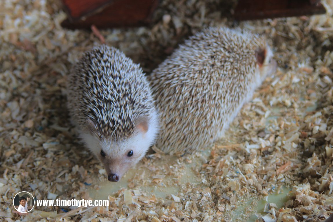 Langkawi Wildlife Park