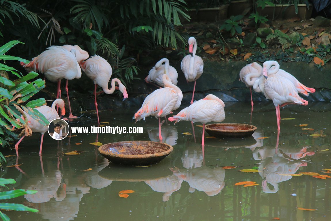 Langkawi Wildlife Park