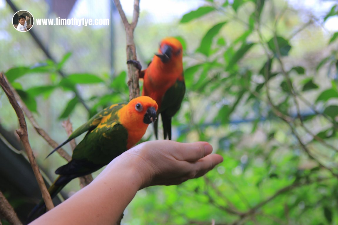 Langkawi Wildlife Park