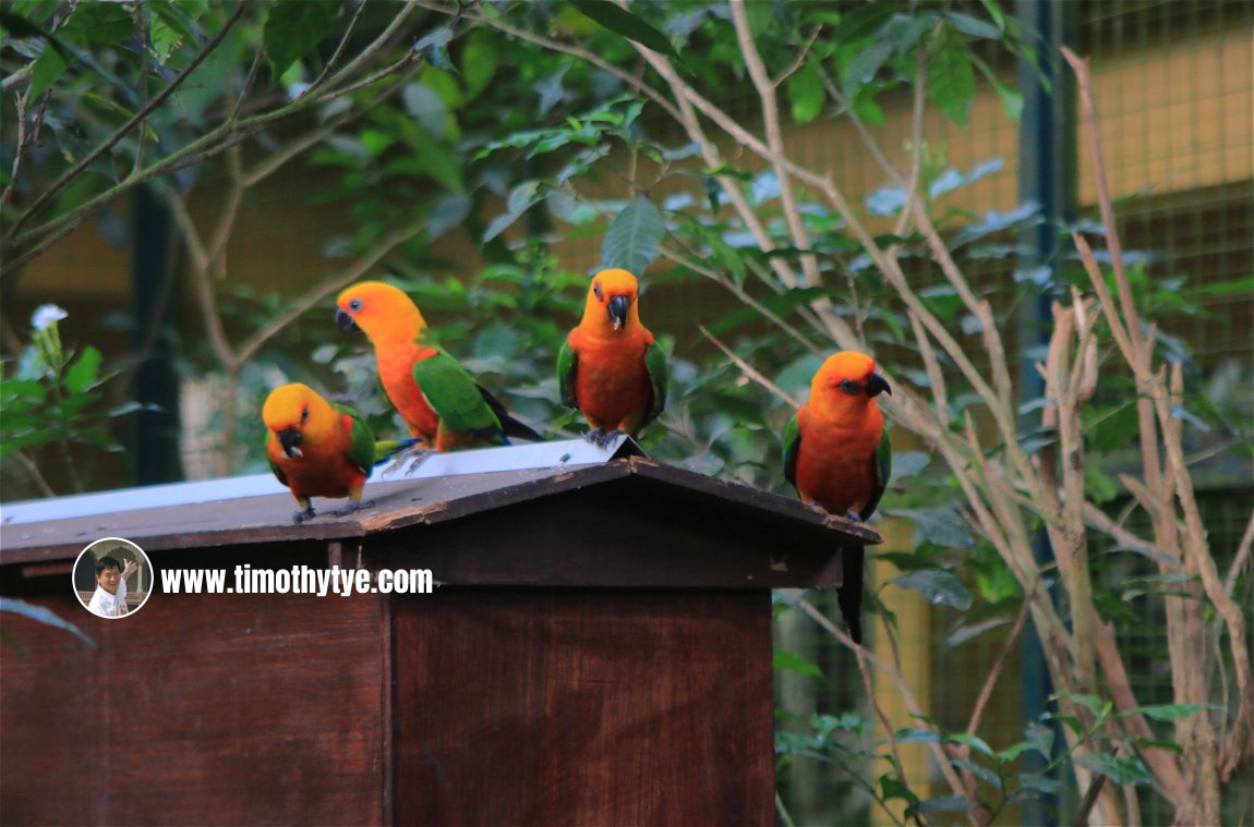 Langkawi Wildlife Park