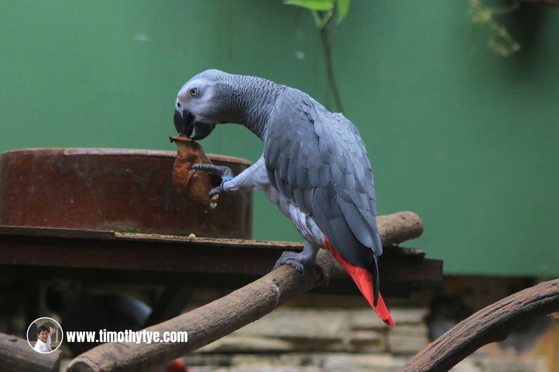 Langkawi Wildlife Park