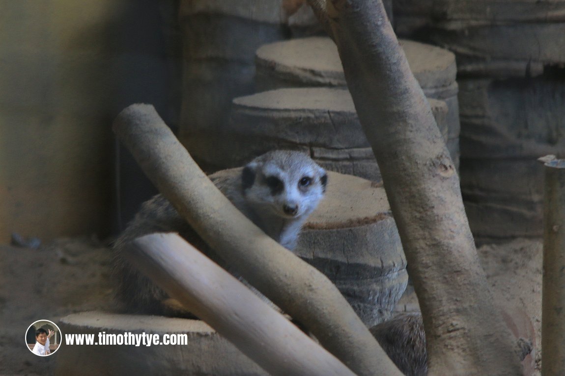 Langkawi Wildlife Park