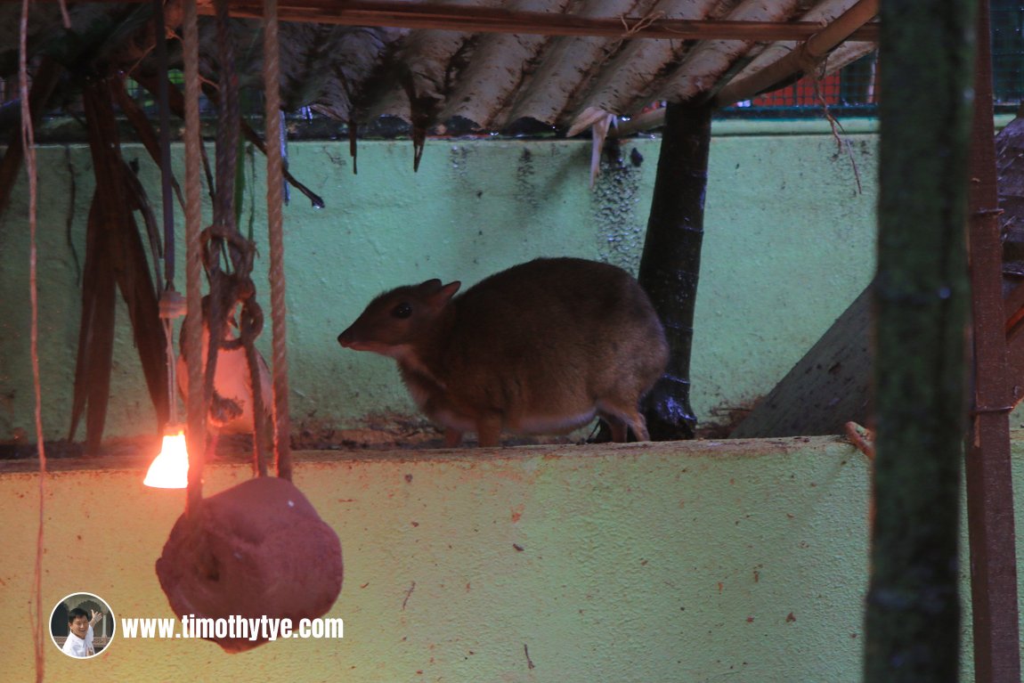 Langkawi Wildlife Park