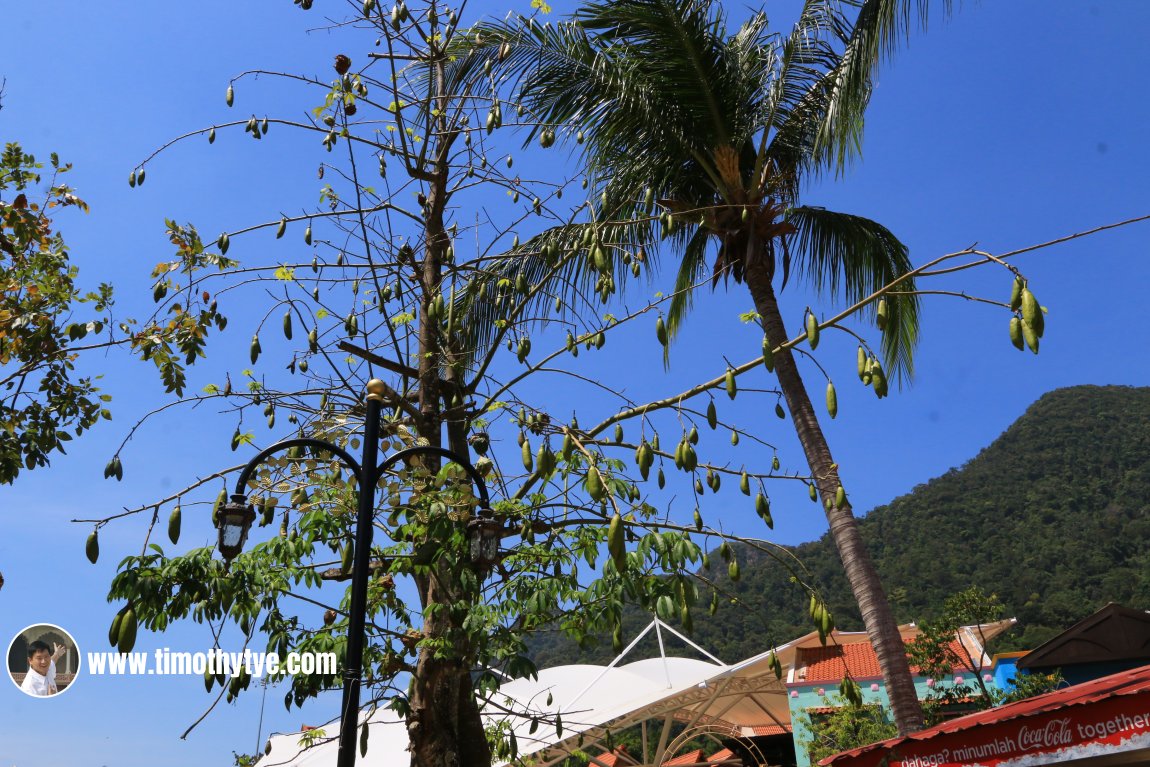 Oriental Village, Langkawi