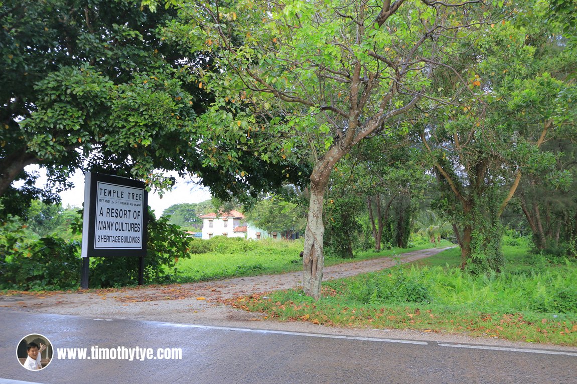 Temple Tree at Bon Ton Resort