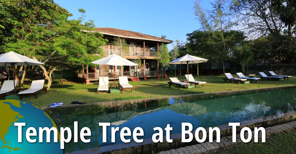 Temple Tree at Bon Ton