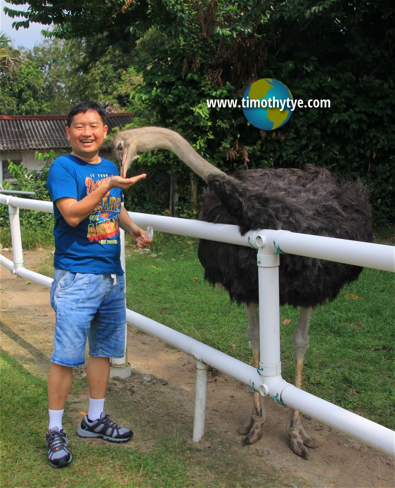 Jelita Ostrich Farm