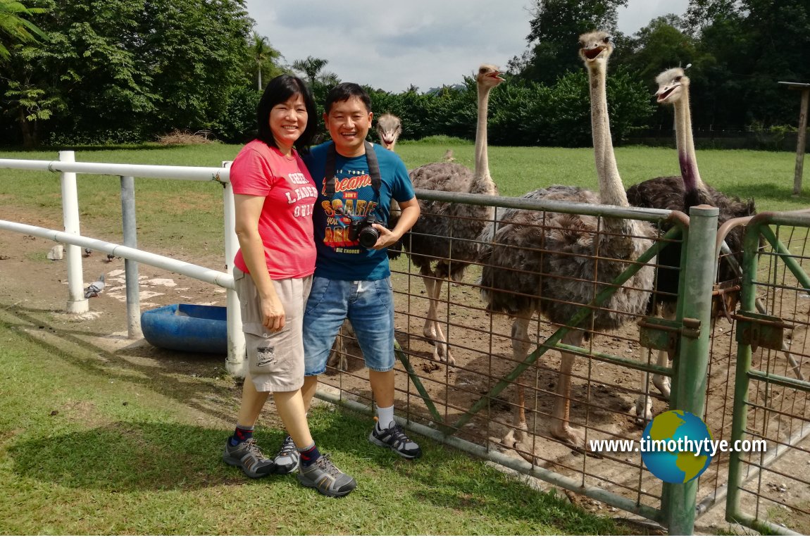 Jelita Ostrich Farm