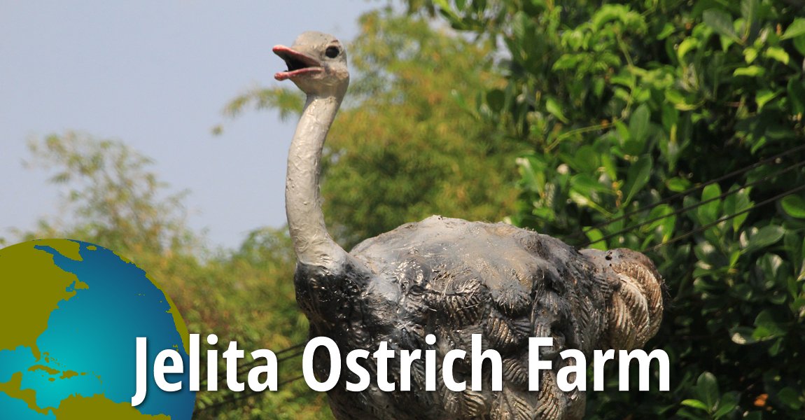 Jelita Ostrich Farm