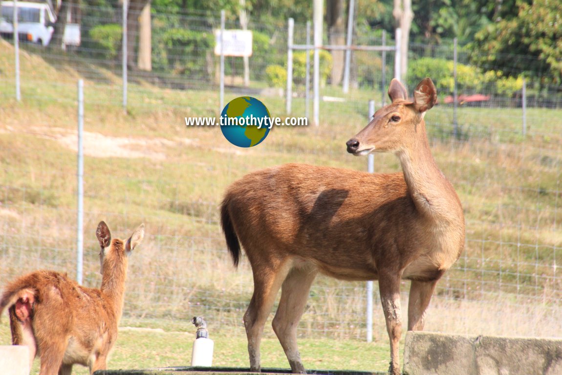 Taman Alam Veterinar