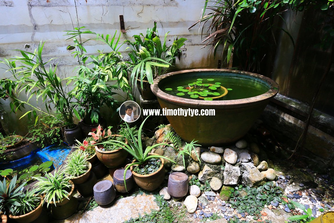 Indoor garden in the heart of Heritage House