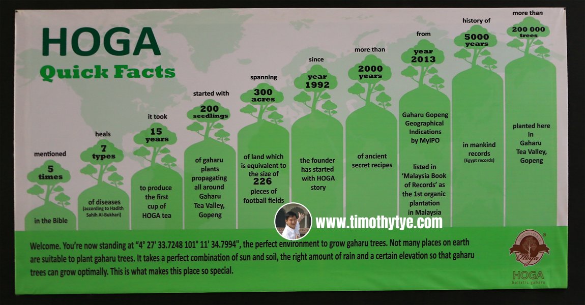 Interpretive board providing quick facts about Gaharu trees