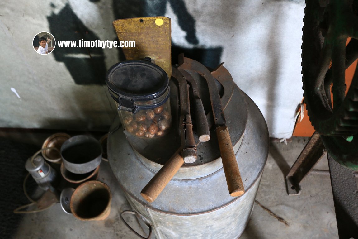 Rubber seeds and rubber tapping tools