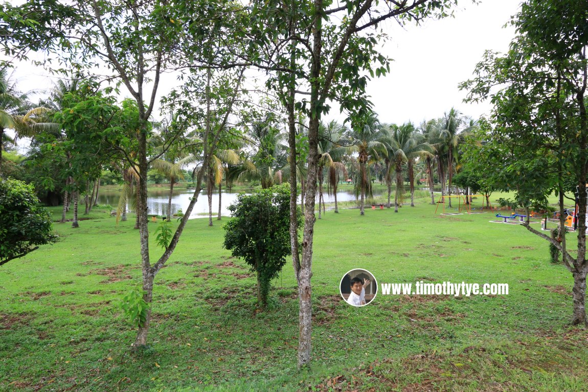 Various trees at Taman Herba Negeri Perak