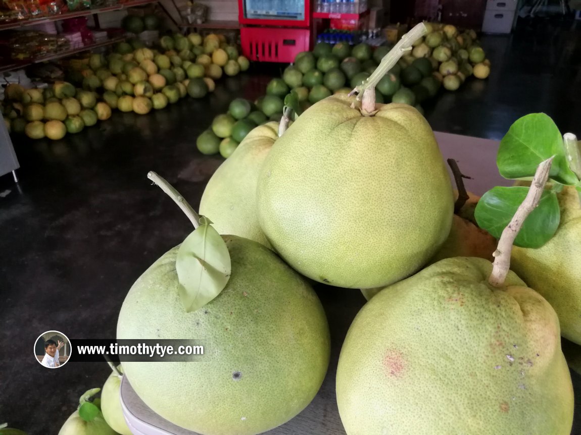 Ah Sai Fruits Trading, Tambun, Ipoh, Perak