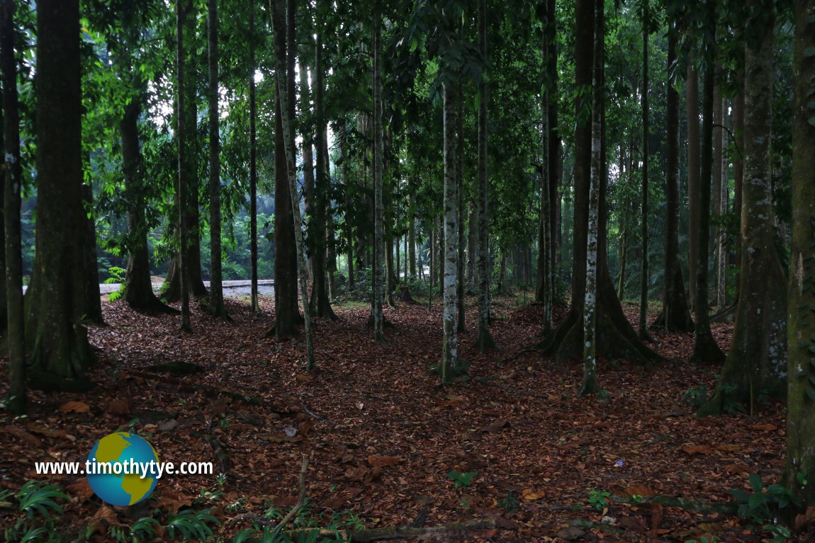 Forest Research Institute Malaysia