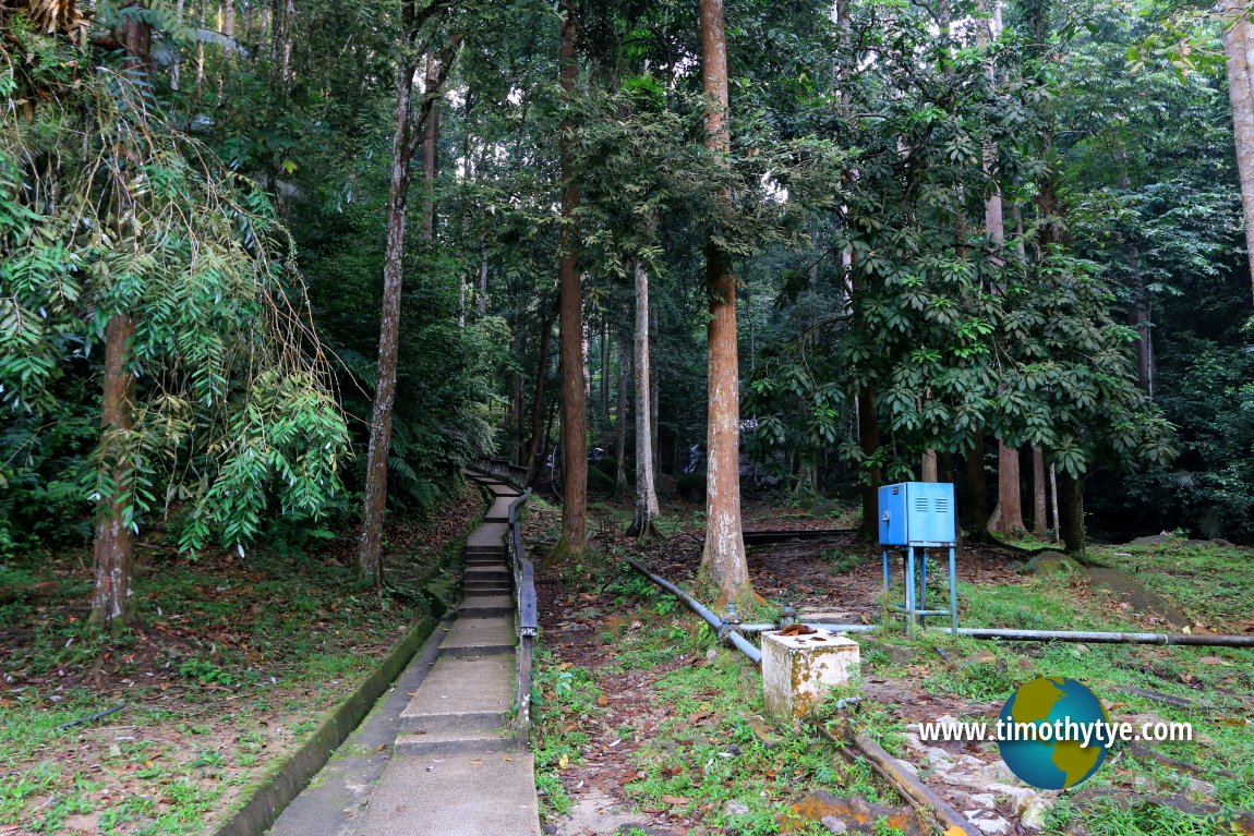 Forest Research Institute Malaysia, Selangor, Malaysia