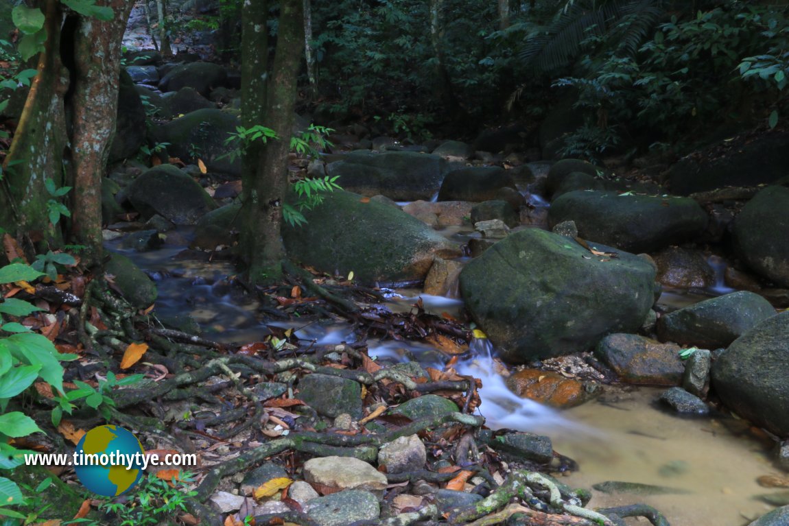 Forest Research Institute Malaysia