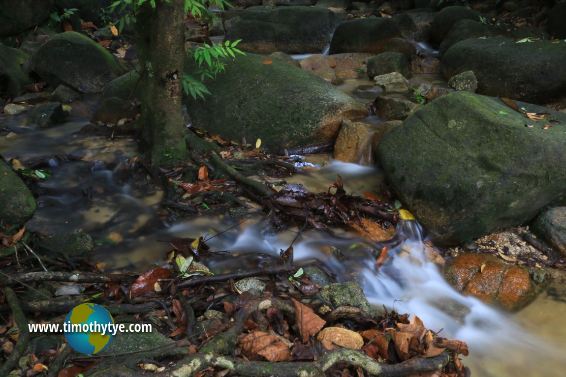 Forest Research Institute Malaysia