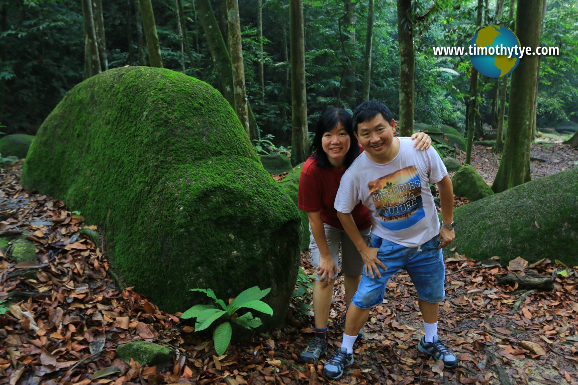 Forest Research Institute Malaysia