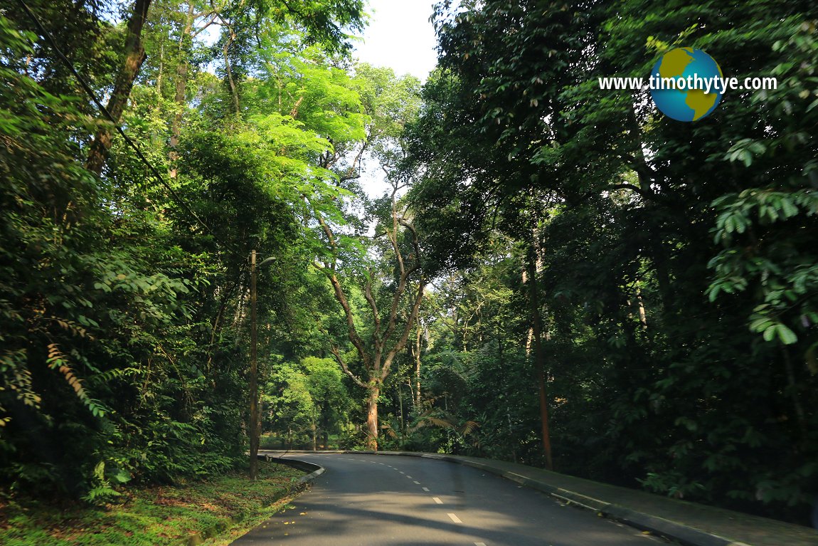 Forest Research Institute Malaysia