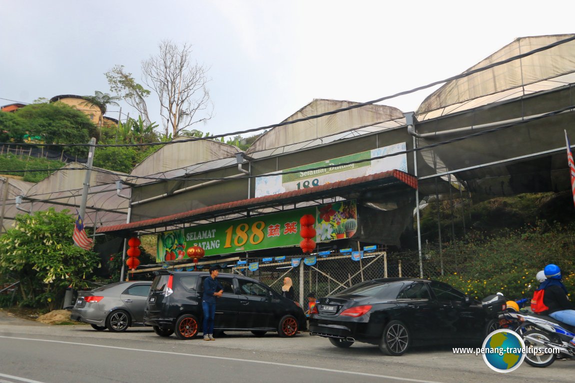 188 Vegetable Farm, Cameron Highlands