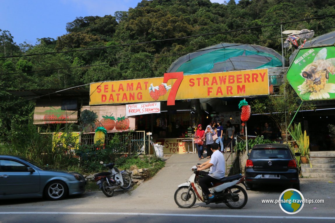 7 Strawberry Farm, Cameron Highlands