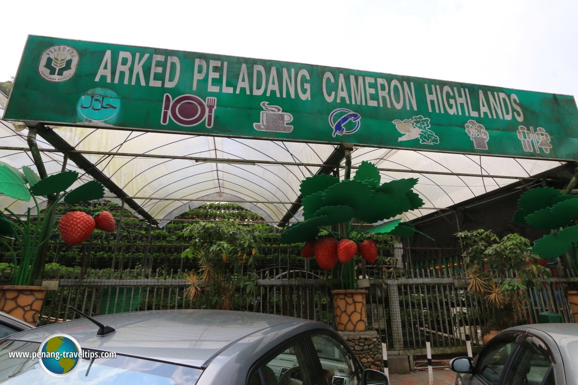 Arked Peladang Cameron Highlands