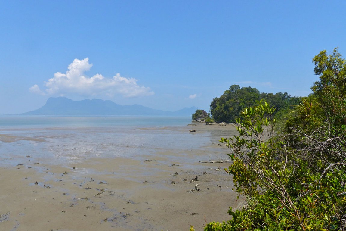 Bako National Park