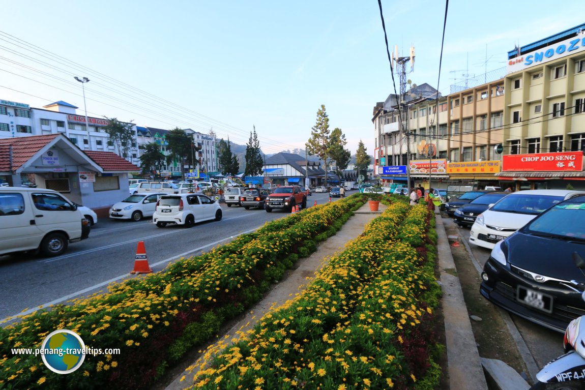 Brinchang, Cameron Highlands