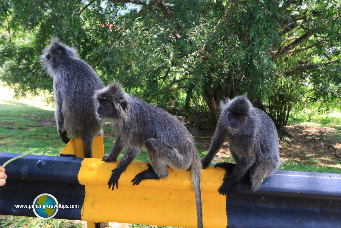 Bukit Malawati, Kuala Selangor