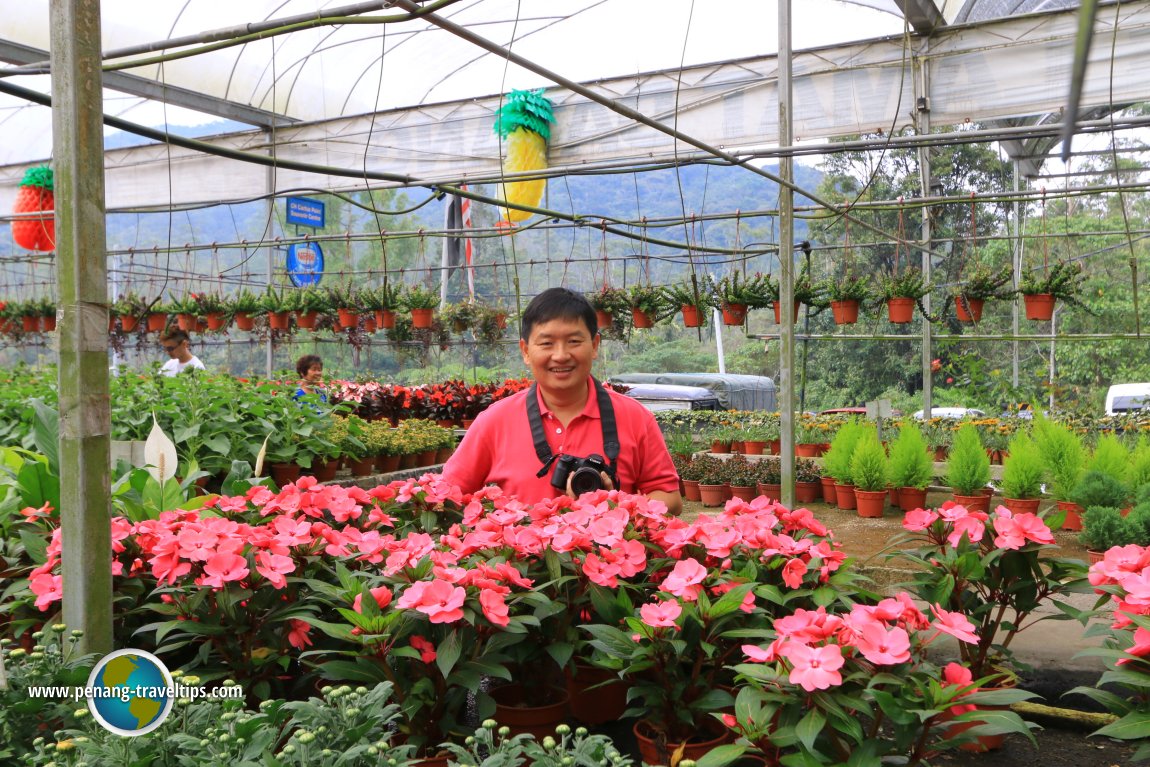 Cactus Point, Cameron Highlands