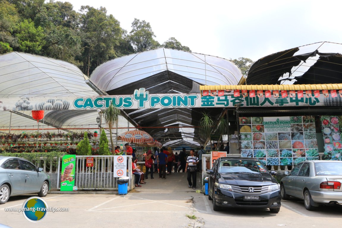 Cactus Point, Cameron Highlands