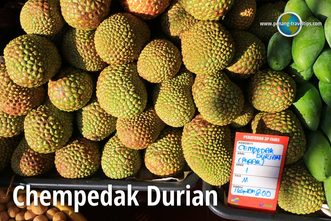 Chempedak Durian