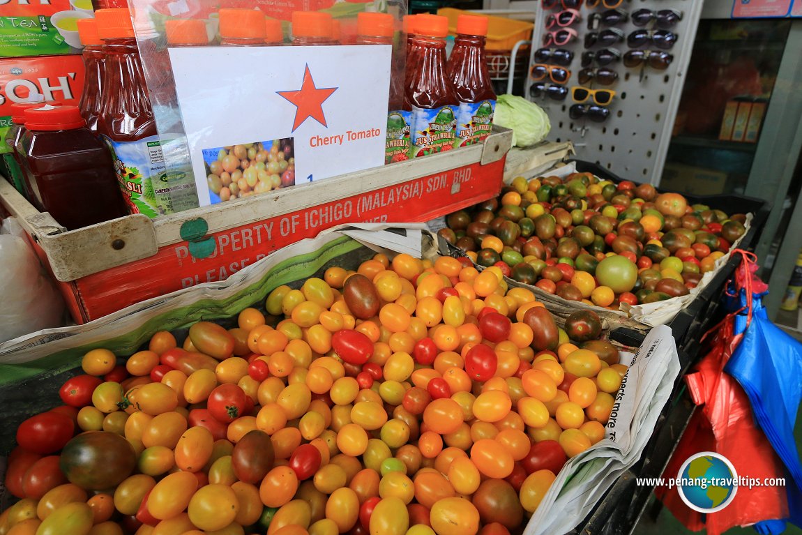 Cherry tomatoes at Unc Sam Farm