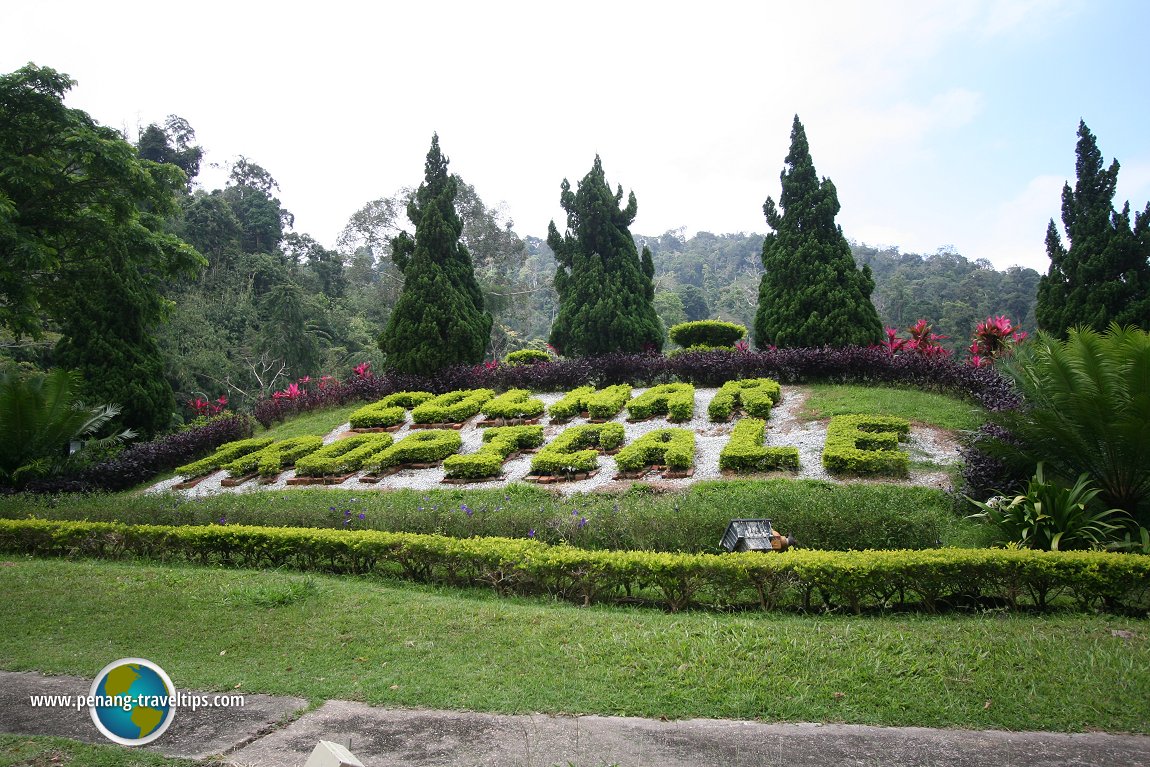 Colmar Tropicale landscaping