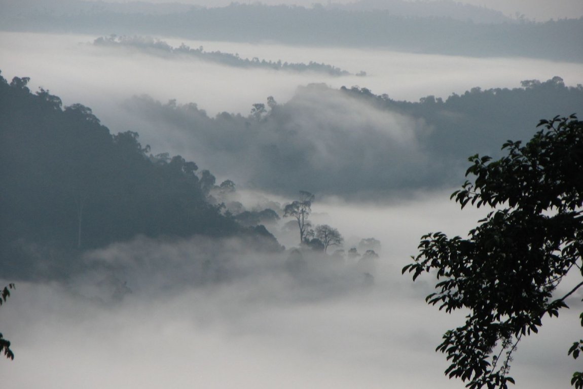 Danum Valley, Sabah