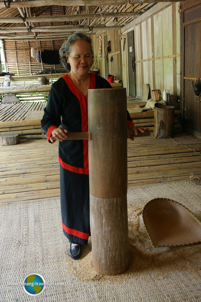 Bidayuh woman dehusking rice in the longhouse