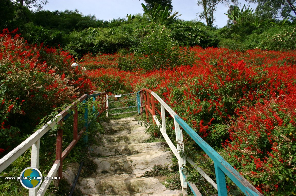 Ee Feng Gu Honey Bee Farm