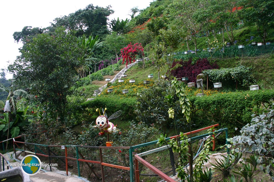 Ee Feng Gu Honey Bee Farm