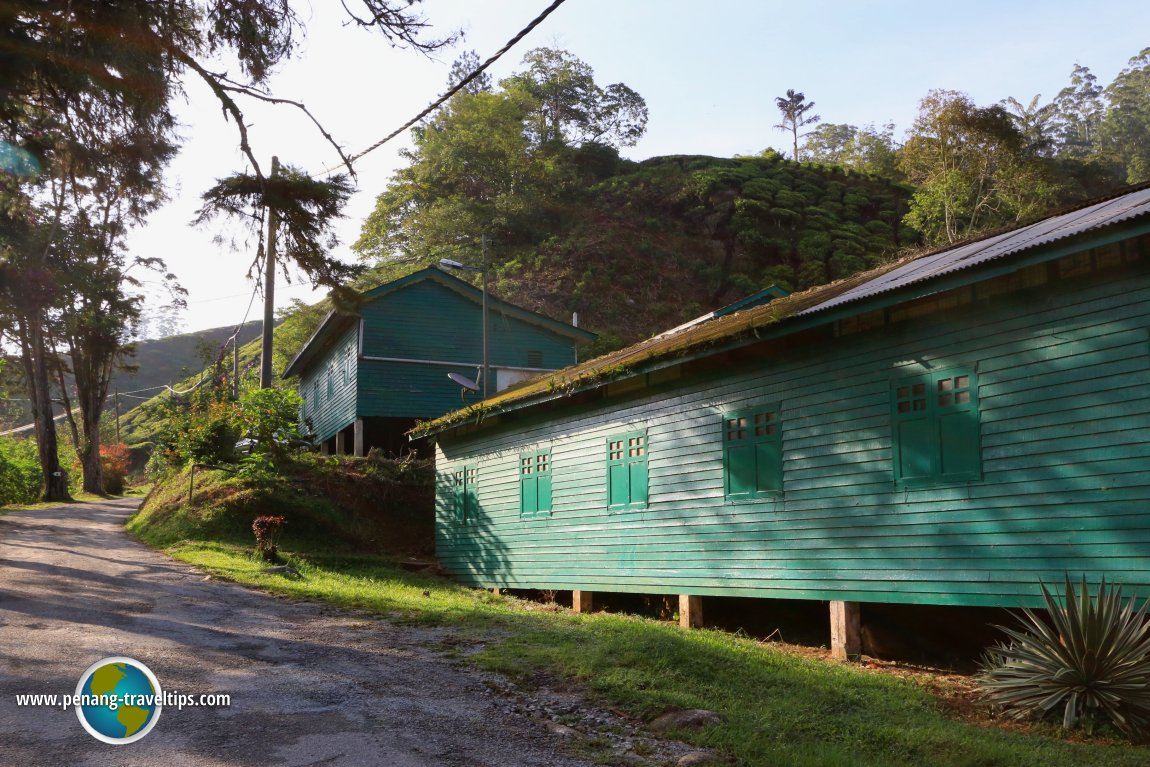 Fairlie Estate Boh Tea Centre