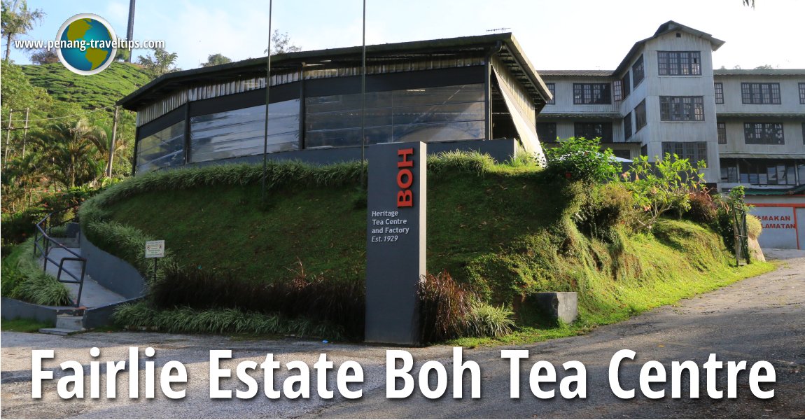 Fairlie Estate Boh Tea Centre