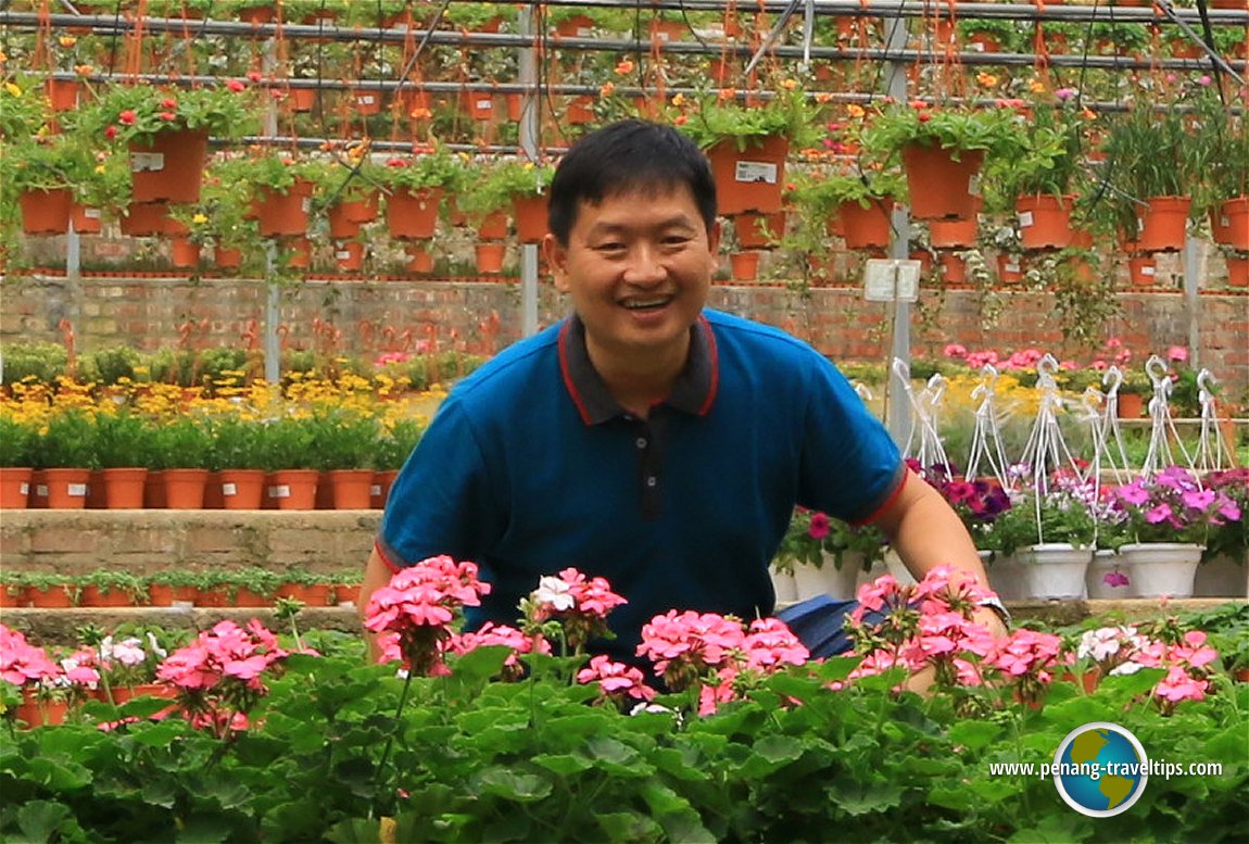 Fragrance Nursery, Cameron Highlands