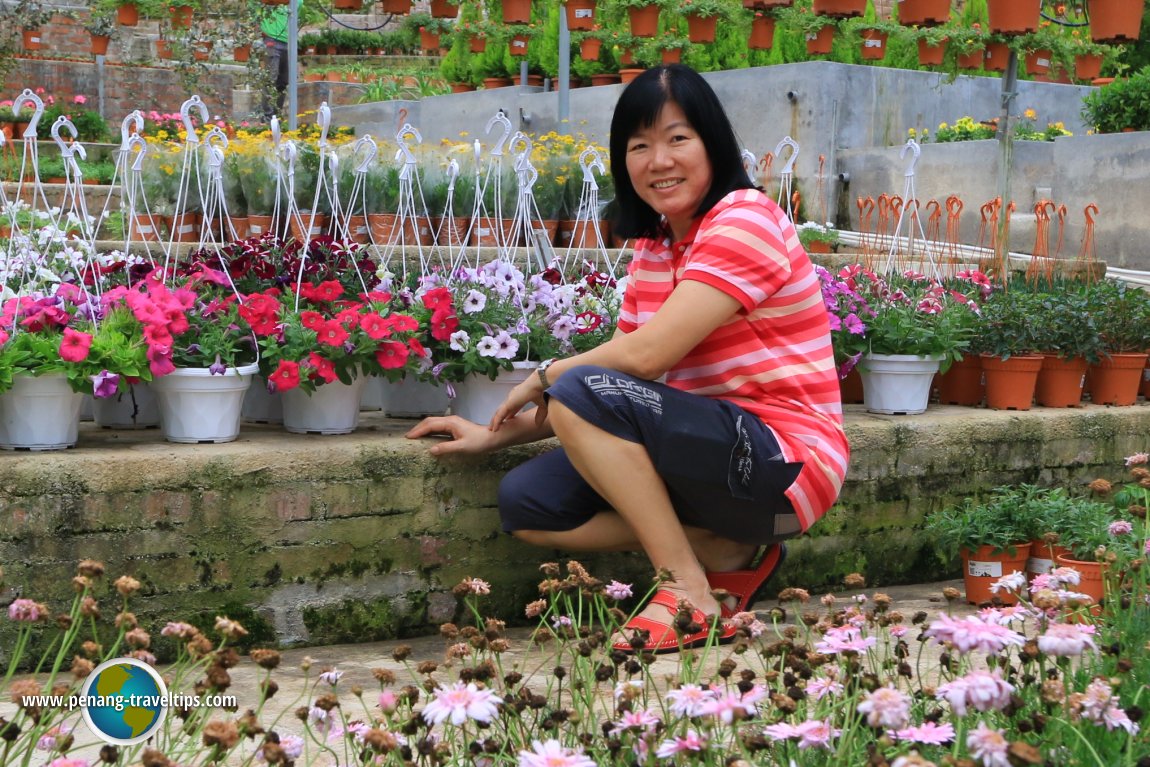 Fragrance Nursery, Cameron Highlands