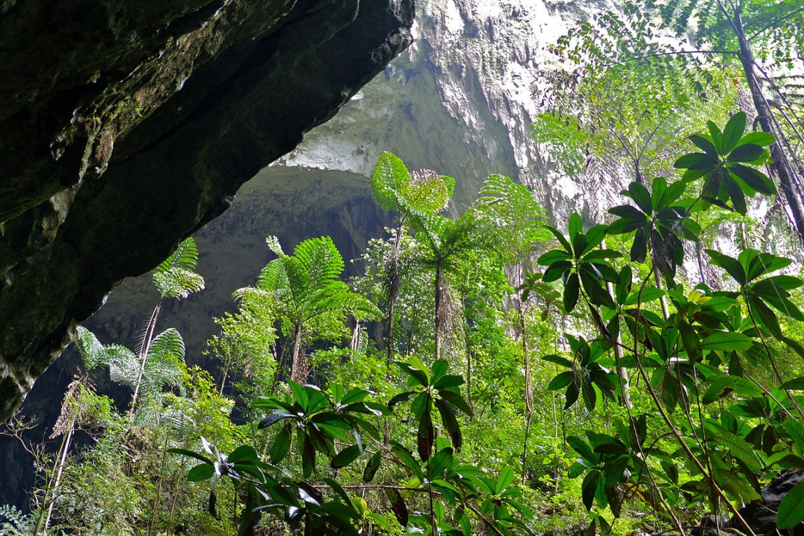 Gunung Mulu National Park