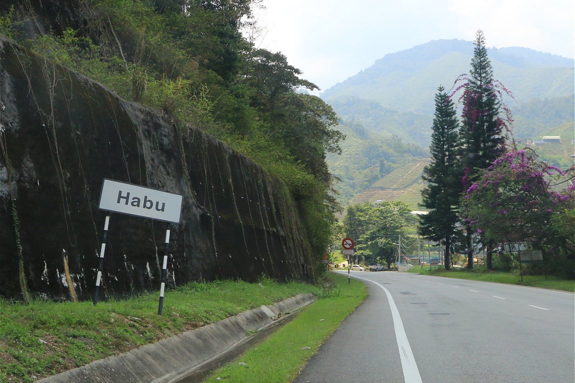 Habu, Cameron Highlands