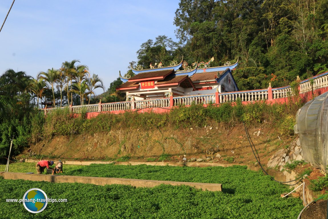 Habu Hock Teik Cheng Sin Temple